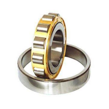 NU205M 25x52x15 25mm/52mm/15mm Cylindrical Roller Bearings