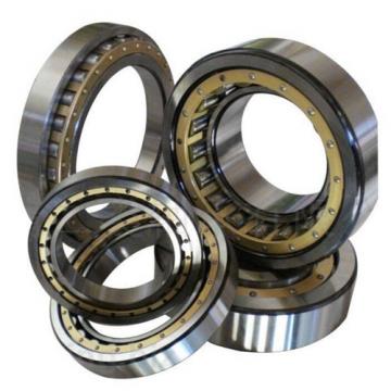 NU213MY Nachi Cylindrical Roller Bearing Bronze Cage Japan 65x120x23 10291