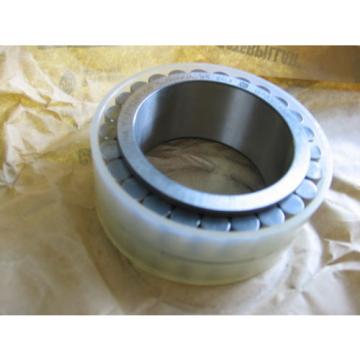 INA F-208266.05 Radial Cylindrical Double Row Roller Bearing F208266.05