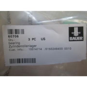 BAUER CYLINDRICAL ROLLER BEARING b: 80mm D: 125mm B: 60mm SL045016-PP NEW