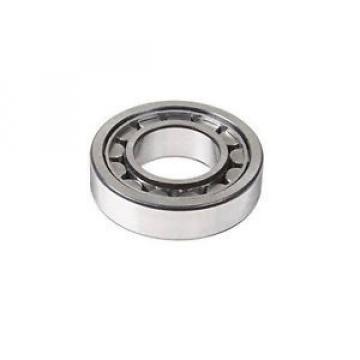 NUP305E Cylindrical Roller Bearing 25mmX62mmX17mm Quality Bearing