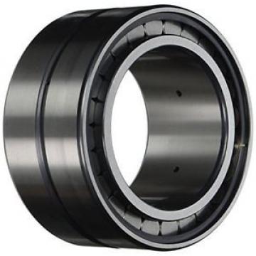 INA SL185018 Cylindrical Roller Bearing, Double Row, Removable Outer Ring,
