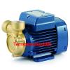 Electric Peripheral Water PQ PQm65Bs 0,7Hp Brass body 240V Pedrollo Z1 Pump