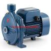 Electric Centrifugal Water CP CPm130 0,5Hp Steel impeller 240V Pedrollo Z1 Pump