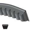 CONTITECH GROUP AX39 X13X1000Li Drive Belts V-Belts #1 small image