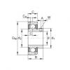 Radial insert ball bearings - GAY104-NPP-B-AS2/V