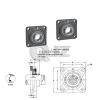 2x 7/8 in Square Flange Units Cast Iron SBF205-14 Mounted Bearing SB204-12G+F205