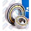 1pc NEW Cylindrical Roller Wheel Bearing NU205 25×52×15mm #4 small image