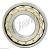 N309M Cylindrical Roller Bearing 45x100x25 Cylindrical Bearings 17520 #3 small image