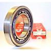 NEW! FAG NU224E-TVP2-C3 Cylindrical Roller Bearing, Single Row, Germany #1 small image