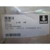 BAUER CYLINDRICAL ROLLER BEARING b: 80mm D: 125mm B: 60mm SL045016-PP NEW #3 small image