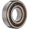 SKF NJ 205 ECP Cylindrical Roller Bearing, Removable Inner Ring, Flanged, High