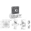5/8 in Square Flange Units Cast Iron UCF202-10 Mounted Bearing UC202-10+F204 #2 small image