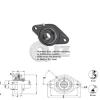 1 in 2-Bolts Flange Units Cast Iron HCFL205-16 Mounted Bearing HC205-16+FL205 #2 small image