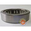 M1207E Cylindrical Roller Bearing - Bower