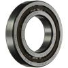 SKF NJ 203 ECP/C3 Cylindrical Roller Bearing, Single Row, Removable Inner Ring, #1 small image