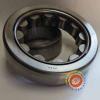 NU313 C3 Cylindrical Roller Bearing #1 small image