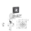 3/4 in Square Flange Units Cast Iron SBF204-12 Mounted Bearing SB204-12+F204 #2 small image