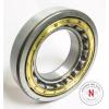 STEYR NU-219E CYLINDRICAL ROLLER BEARING,  95mm x 170mm x 32mm, OPEN #2 small image
