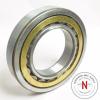 STEYR NU-219E CYLINDRICAL ROLLER BEARING,  95mm x 170mm x 32mm, OPEN #3 small image