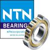NTN Bearing Distributor in Singapore #1 small image