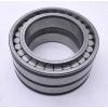 INA Cylindrical Roller Bearing SL045014 #1 small image