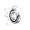 NUP2217-E-TVP2 FAG Cylindrical roller bearings NUP22..-E, main dimensions to DIN #1 small image