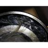 N321 SKF New Cylindrical Roller Bearing #3 small image
