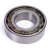 Lancia Stratos Cylindrical Roller Bearing New #1 small image