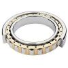 NU305 25x62x17mm NU Single Row Cylindrical Roller Bearing #1 small image