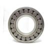 FAG #22222AS Spherical Roller Bearing 110mm ID x 200mm OD x 53mm Thick