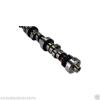 OEM NEW Ford V-8 Hydraulic Roller Tappet E Cam Camshafts M6250E303 Mustang V8 #3 small image