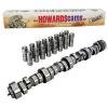 Howards CL198035-09 Rattler Chevy LS Hydr. Roller 2200-6500 Cam &amp; Lifter Kit