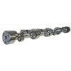 Howards Cams 121033-12 BB Chevy Mechanical Roller 5200 to 8200 Camshaft
