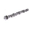 Comp Cams 33-795-9 Comp Cams Specialty Mechanical Roller Camshaft; Lift #1 small image