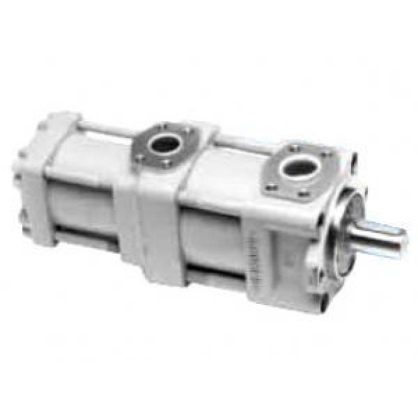 QT4322-31.5-6.3F QT Series Double Gear Pump #1 image