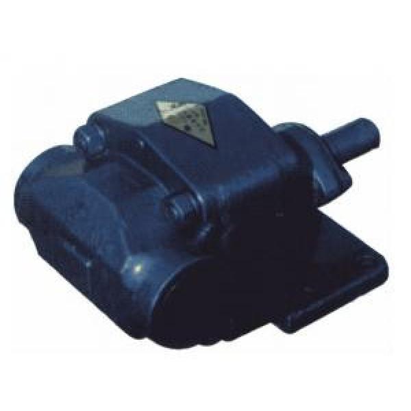BCB Series Gear Oil Pump BCB-160/1.6 #1 image
