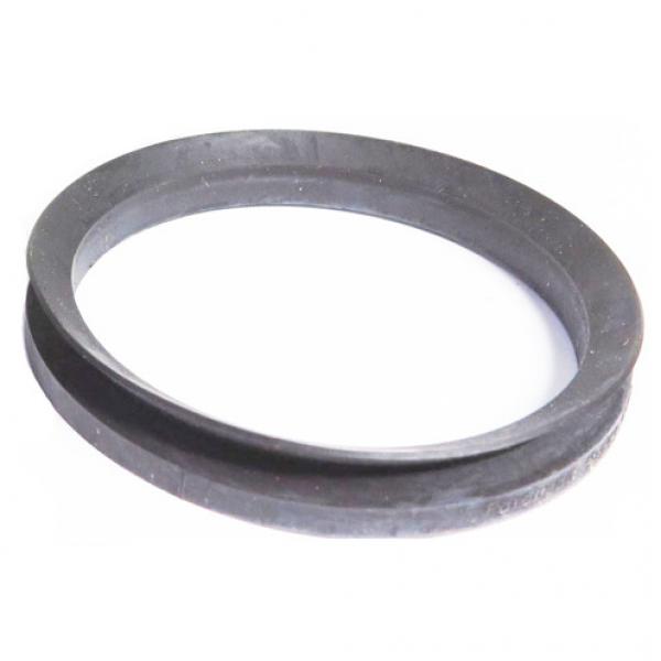 SKF Sealing Solutions MVR1-55 #1 image