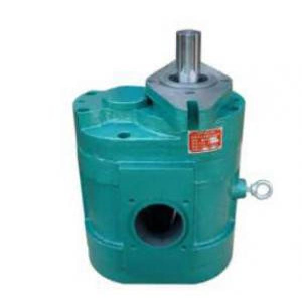 DCB-B600 Low Noise Large Flow Gear Pump #1 image