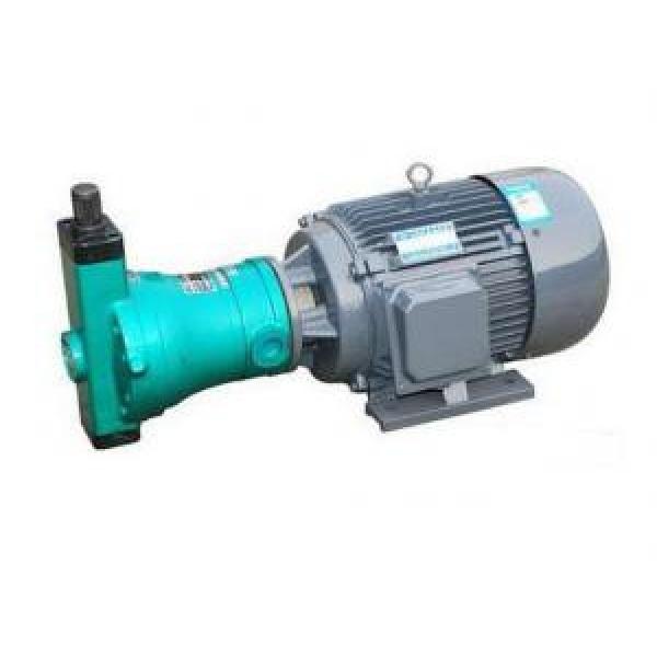 MCY14-1B Series Motor pump 40MCY14-1B+Y2-180M-4 #1 image