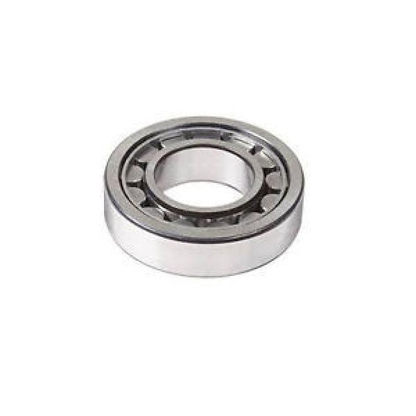 NUP305E Cylindrical Roller Bearing 25mmX62mmX17mm Quality Bearing #1 image