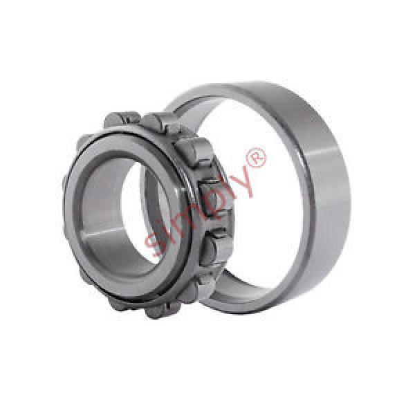 N204 Budget Single Row Cylindrical Roller Bearing 20x47x14mm #1 image